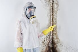 Reliable Mankato, MN Mold Prevention & Removal  Solutions